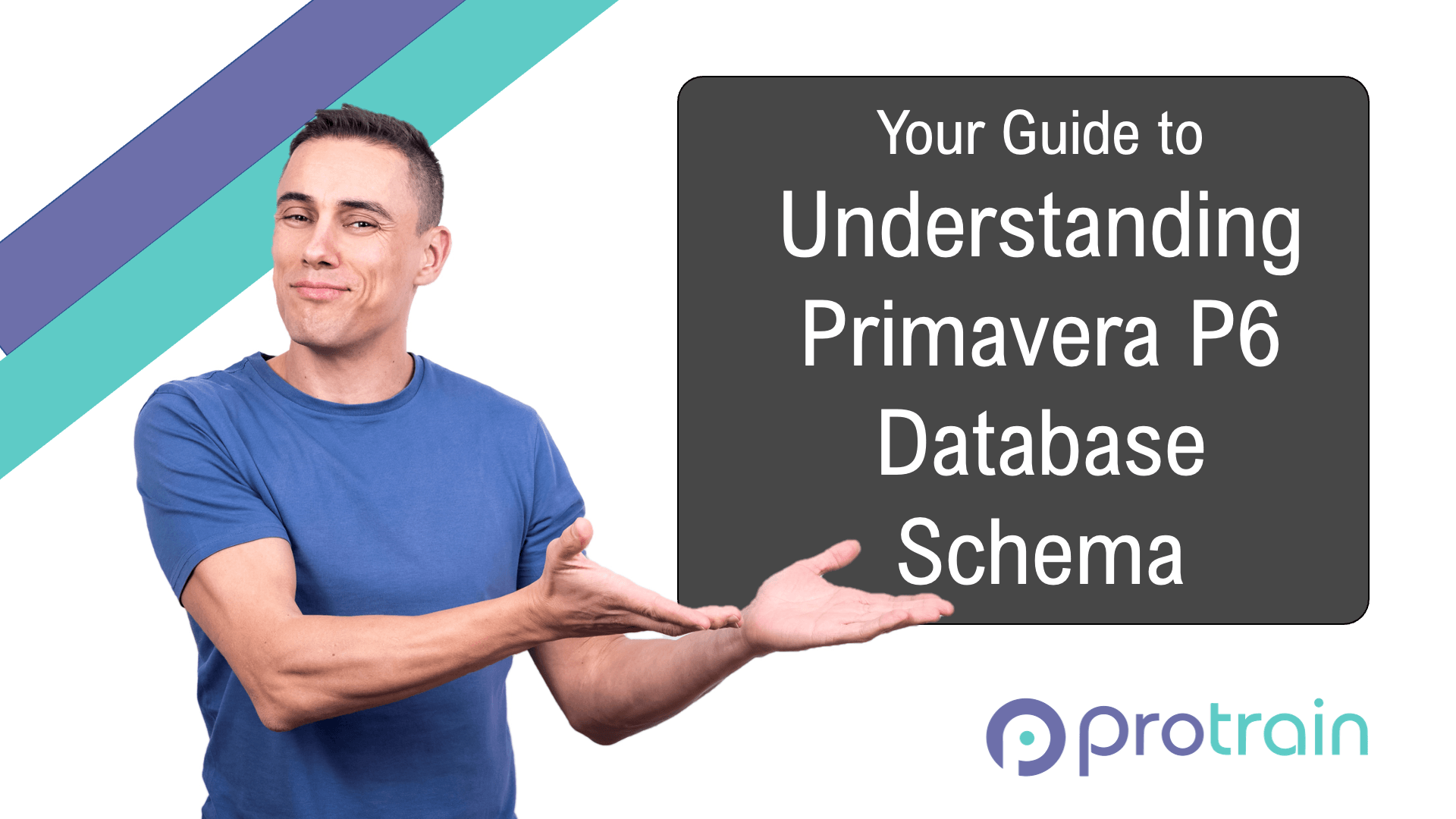 Your Guide to Understanding Primavera P6 Database Schema